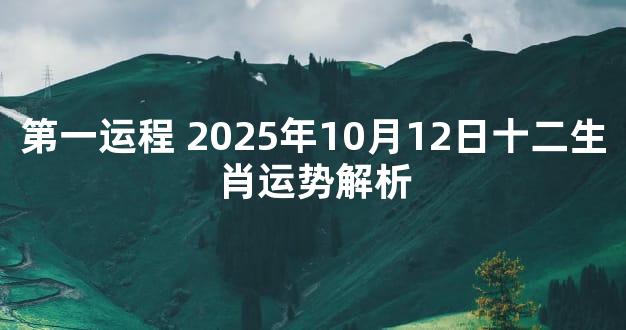 第一运程 2025年10月12日十二生肖运势解析